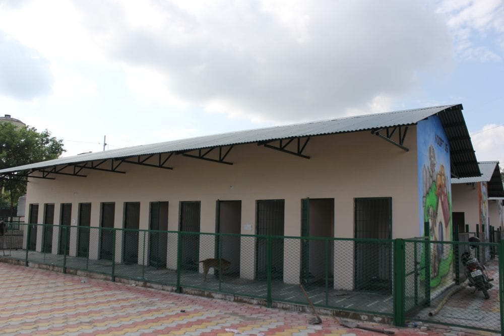 dehradun animal birth control center with good facility