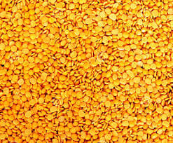 arhar daal rates down