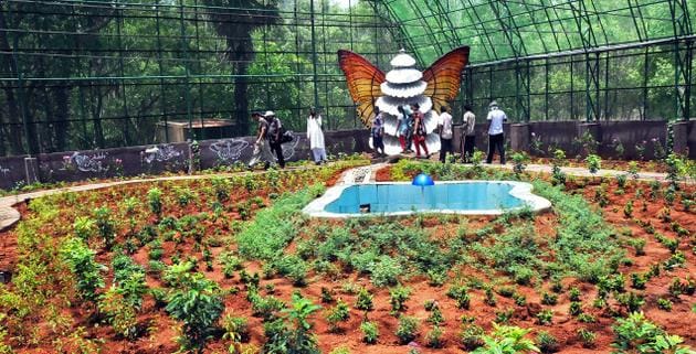 Wow, a hundred million will park for butterflies