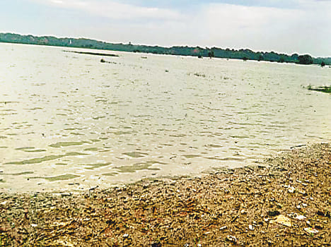  chambal water level 3 meter down