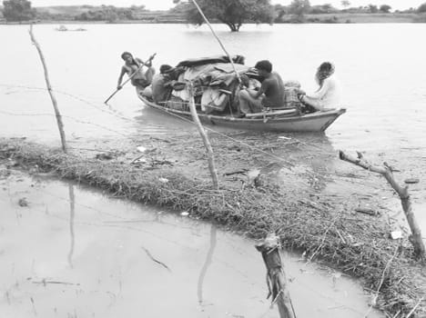 The floods destroyed hundreds of acres of crop