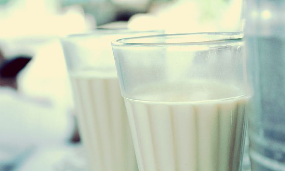 cow milk or buffalow milk, which one is better?