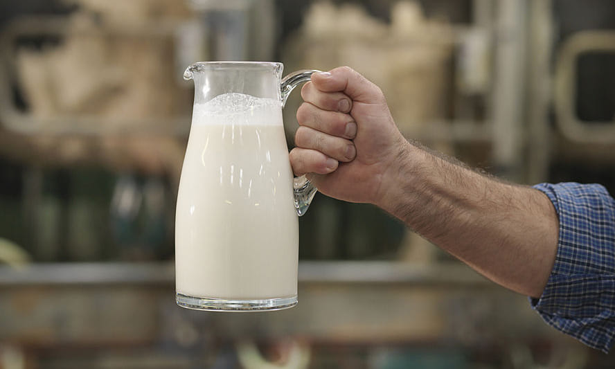 cow milk or buffalow milk, which one is better?