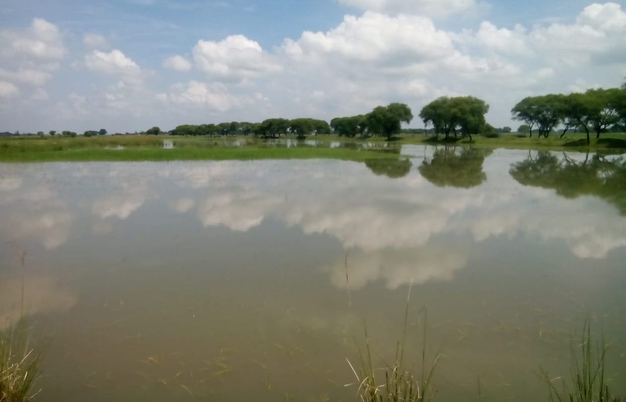 Gomti water stable on less trouble