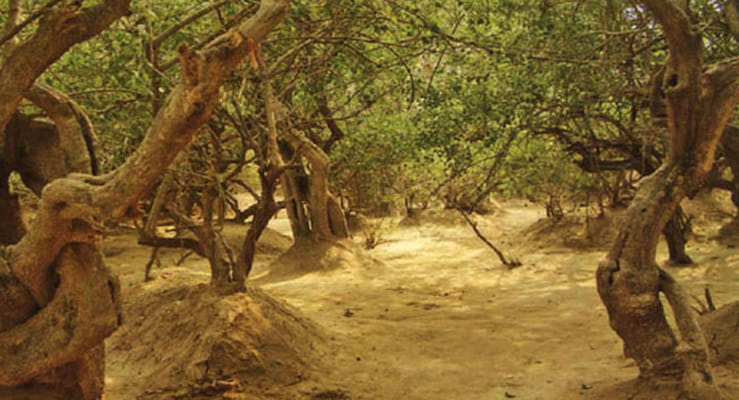 10 places where you feel sri krishna