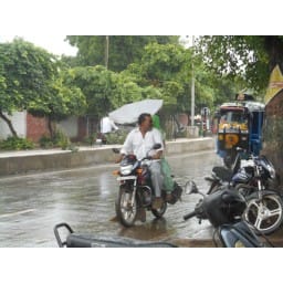 no raining in june] july, jind