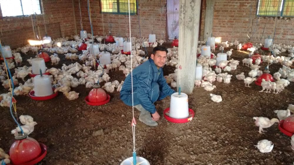 software developer left job and become dairy farmer