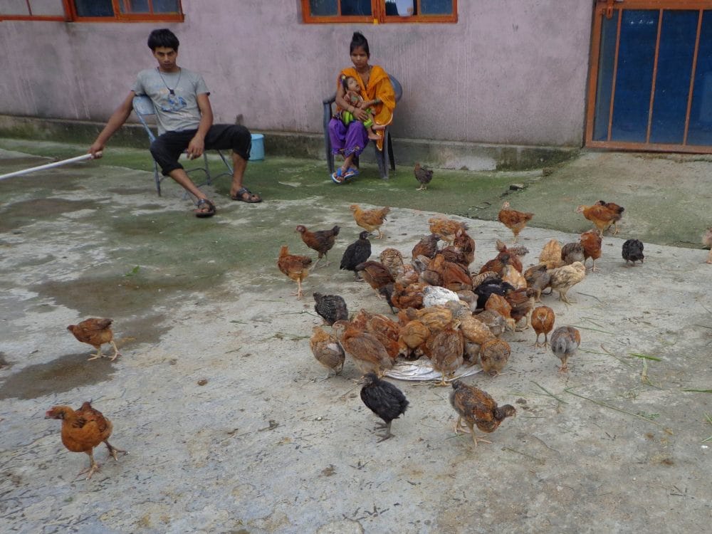 software developer left job and become dairy farmer