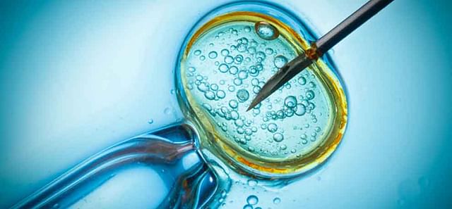 world ivf day 2023 know myths and facts about ivf in hindi