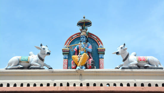 krishna janmashtmi celebration in old keshavdev mandir