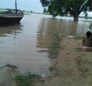 yamuna rever news