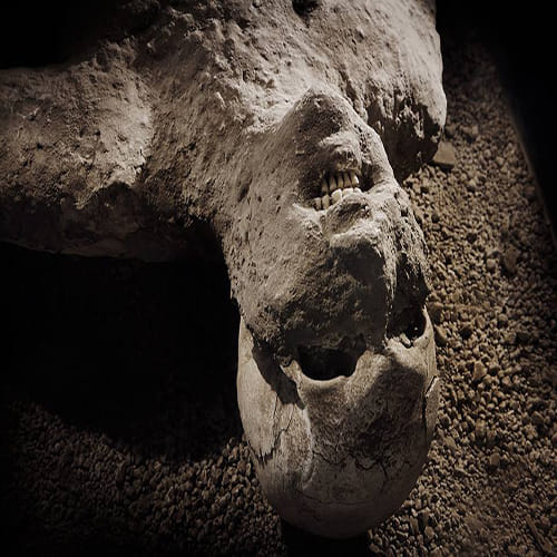 people buried in Pompeii 