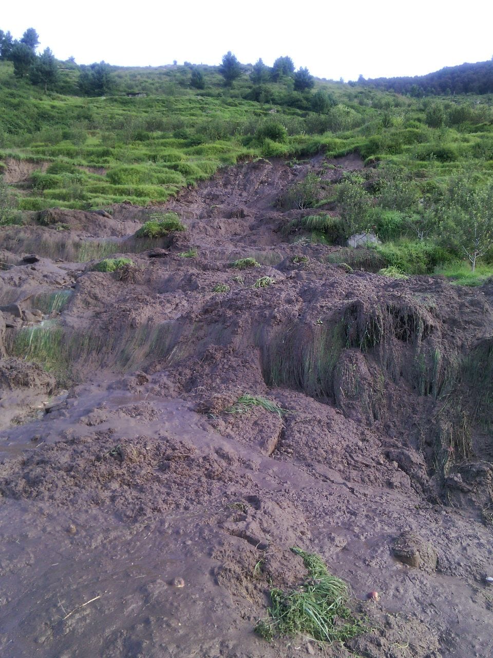 5 Died, cloudburst in rampur himachal pradesh