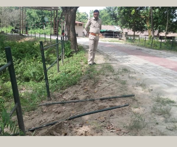  Elephants trample crops in Bahraich.