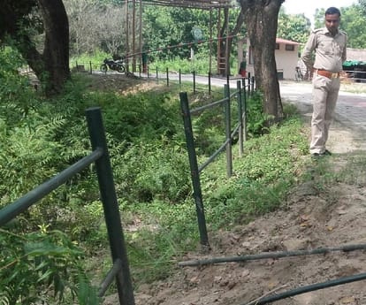  Elephants trample crops in Bahraich.