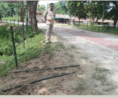  Elephants trample crops in Bahraich.