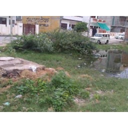 hisar hindi news, fooging, area, hisar