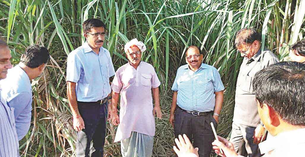 no loss in farming