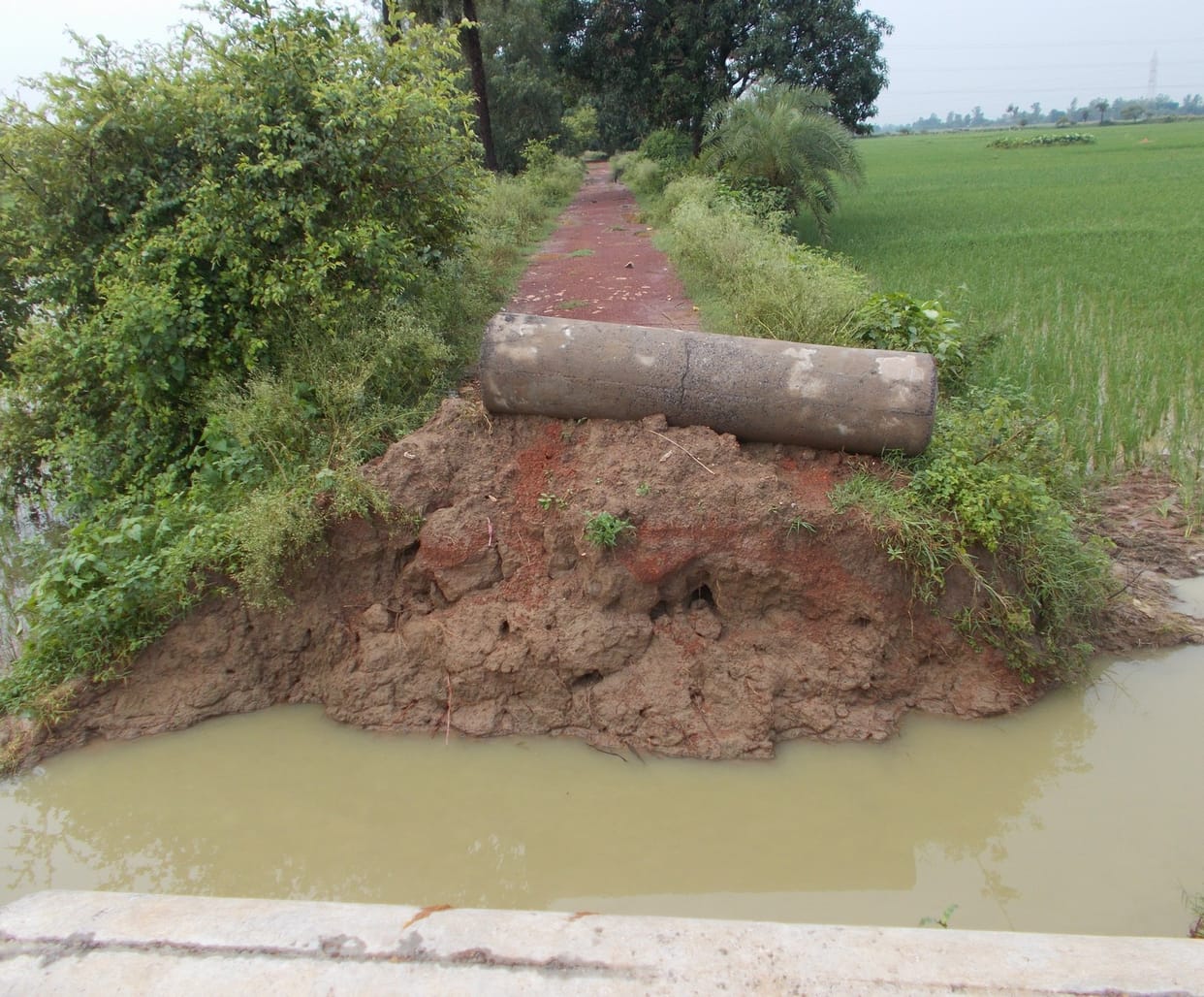 Repair of rural roads will be affected