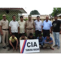 yamunanagar,transfarmer,gang,50 case, solve, 5 arrested