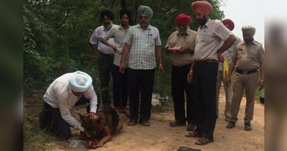 A halfburn deadbody found in syl cannel, fear in area
