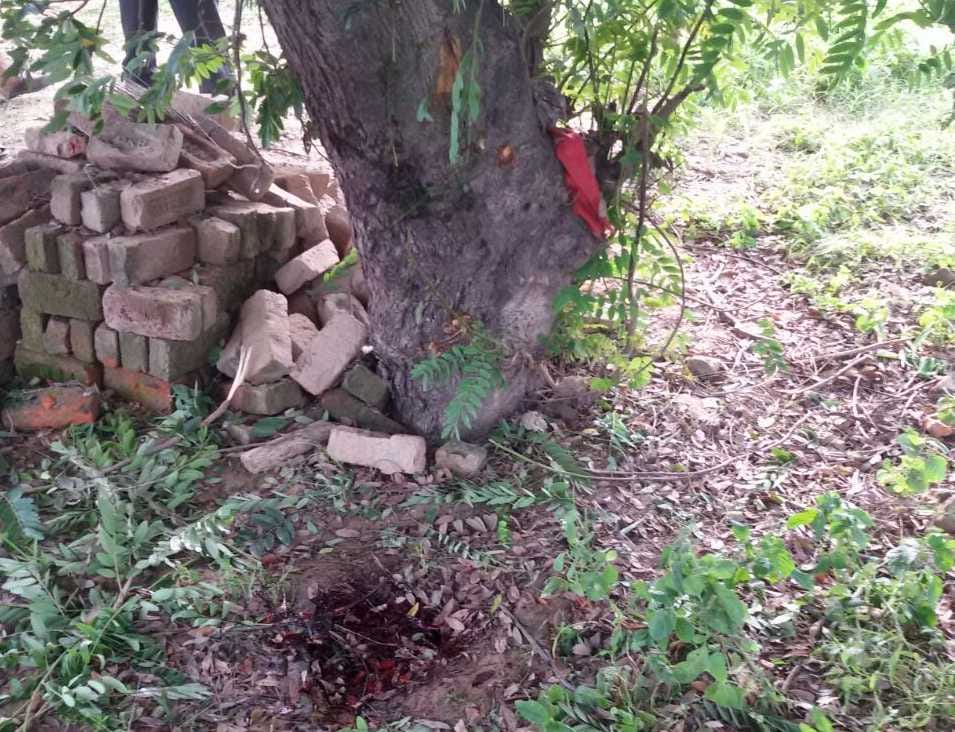Bike crashed into a tree, killing two friends दो दोस्तों की मौत