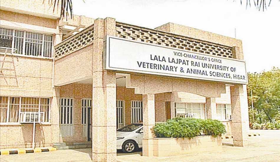 Luvas, Luvas Hisar, cm place foundation stone, Luvas foundation stone, Hisar