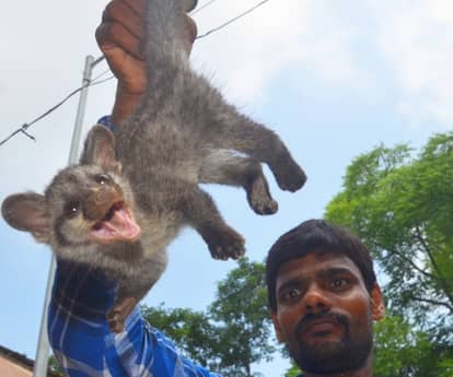 Bijju in Chief Minister Akhilesh office.