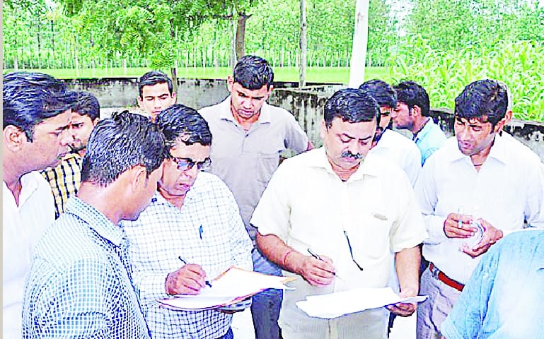 HC orders probe was flawed
