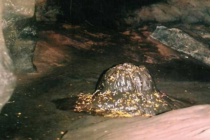 ganesh head in this cave patal bhubneshwar cave uttrakhand