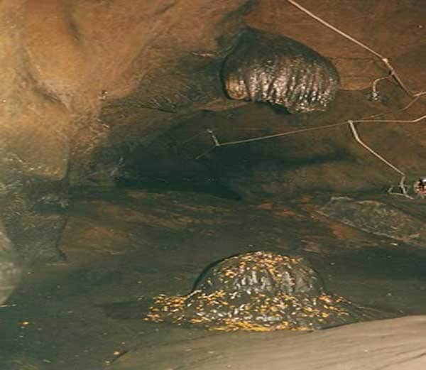 patal nagri seen in this suspicious cave