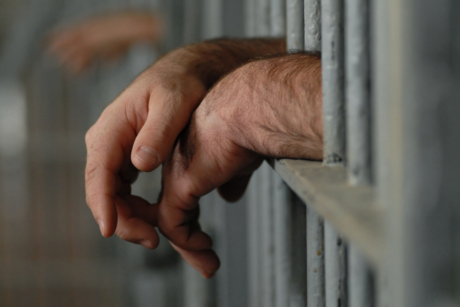 Samosa chola and rasgulla will not get in jail