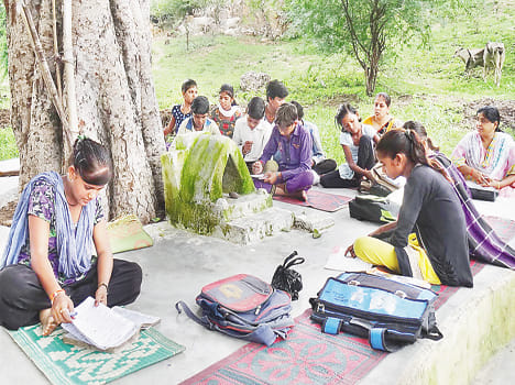 Forced to read under the tree sapling