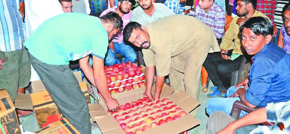 Demand of himachal apple in nepal bangladesh