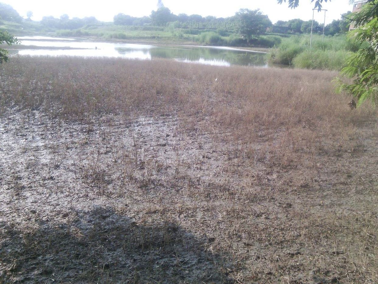 Then there was the picture of reduced water waste