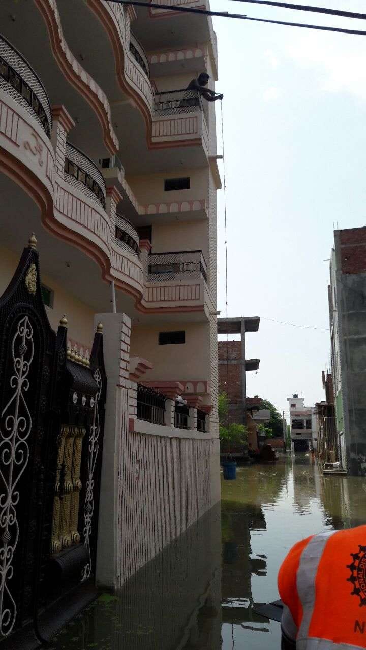 Soon all the water-household bin mansion