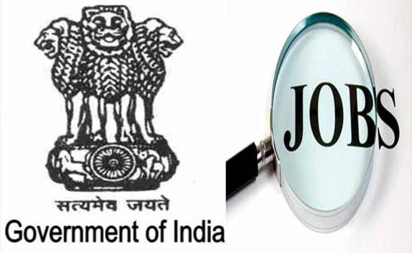 government job for rajasthan portal