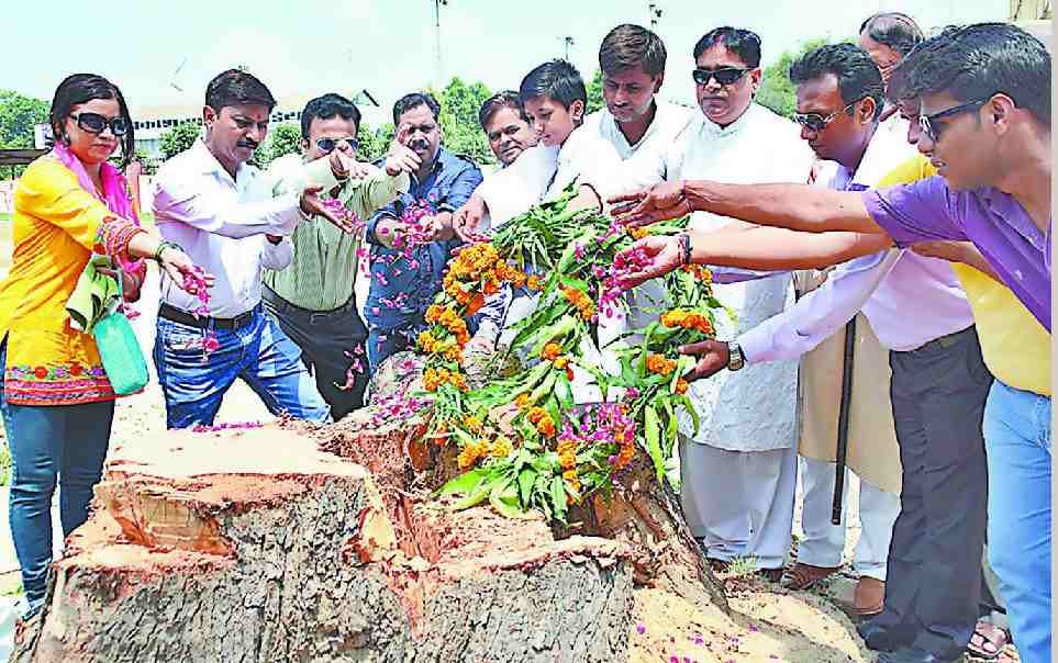 Sahbon sacrificed freedom on the road of witness