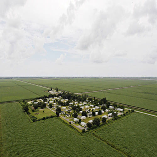 Florida Village Where every man is rapist