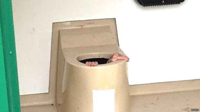  Jump shot phone in toilet tank