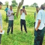 फसलों का जायजा लेते अधिकारी।