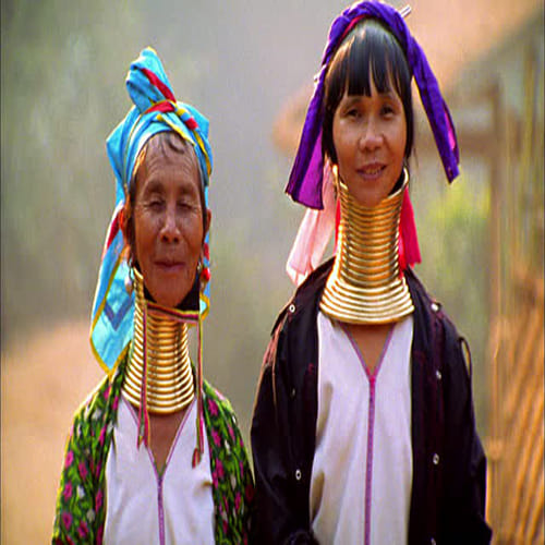 kayan tribe women wear multiple rings all around