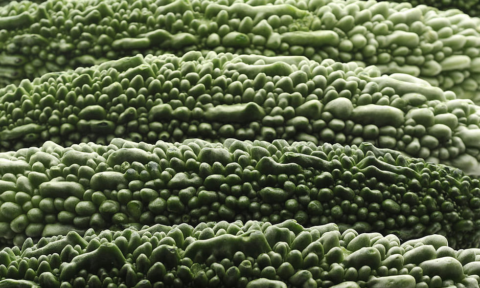 bitter gourd can be dangerous to your health