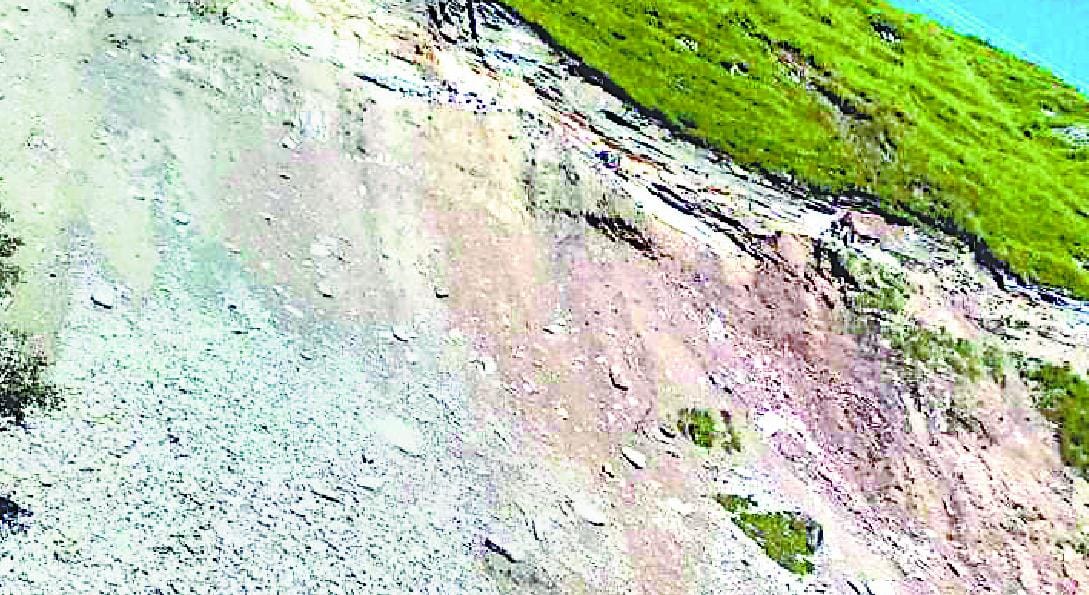 Particular species of grass-roots and prevent landslides