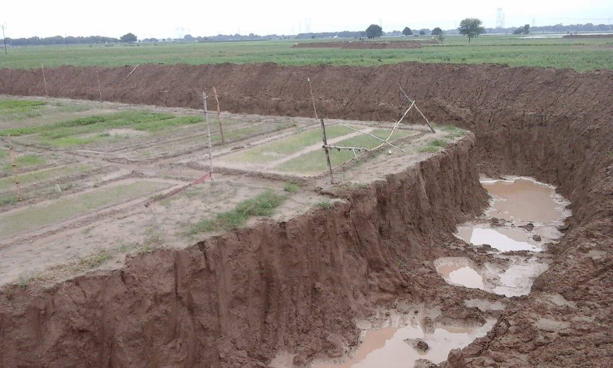 Farmers visible hyperactivity, pepper nursery saved