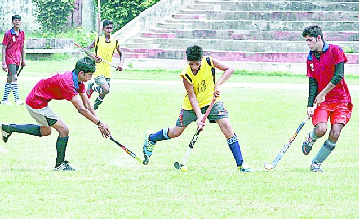 Showed strength in many sports , including hockey