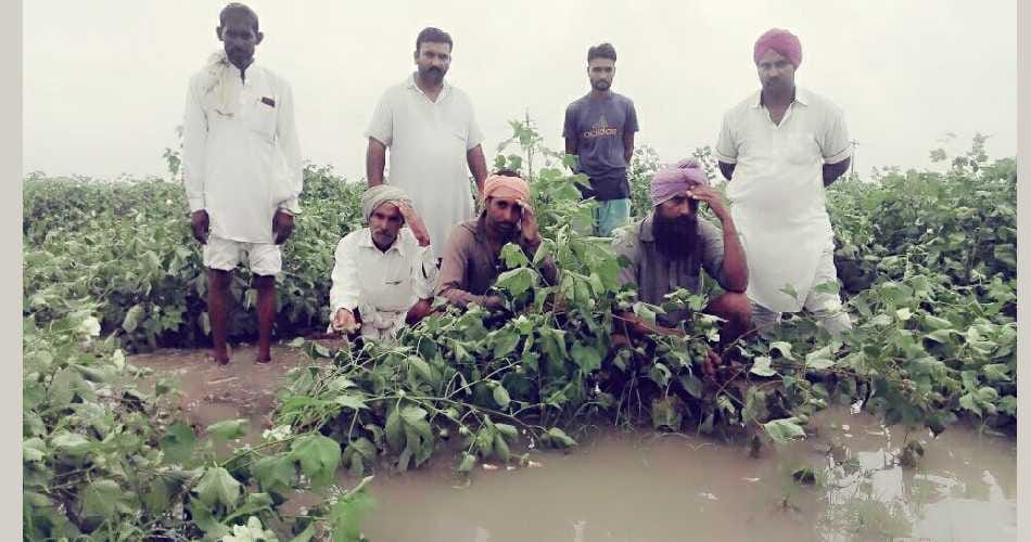 rain, weather, mansoon, drain, hole, draud, home down