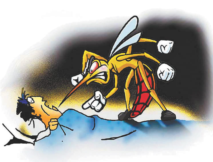 Tirthnagri knock of dengue, 14 people confirmed