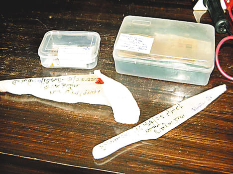 former pradhan found enterstate gang chief