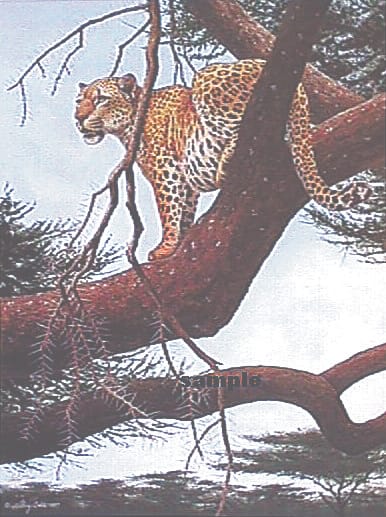 Female leopard attack in the byre